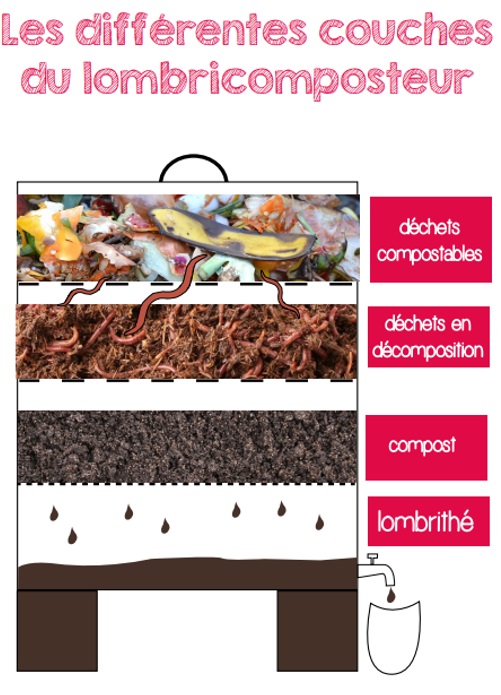 tuto-lombricompost-14 les différentes couches d'un lombricomposteur